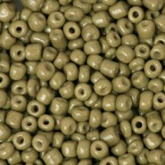 Seed beads 8/0 (3mm) Cactus green